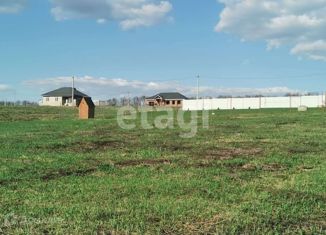 Продам земельный участок, 12 сот., деревня Новая Знаменка