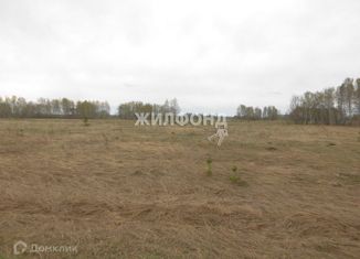 Продаю участок, 1099 сот., деревня Бурмистрово, Центральная улица