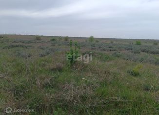 Продается земельный участок, 436.3 сот., Чистенское сельское поселение