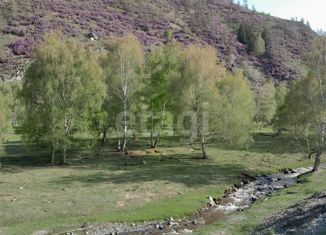 Продается земельный участок, 560.1 сот., село Купчегень, Средняя улица