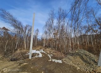 Продам земельный участок, 10 сот., Артём