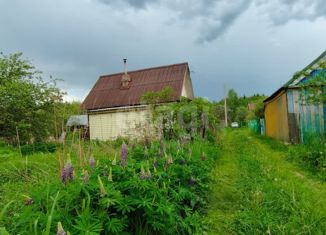 Продажа дома, 35 м2, деревня Ильинка, Дорожная улица, 6