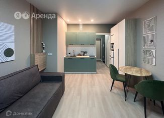 Аренда квартиры студии, 23 м2, Нижний Новгород, проспект Гагарина, 36к5