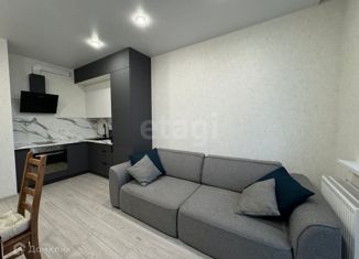 Сдаю в аренду однокомнатную квартиру, 45 м2, Ростов-на-Дону, улица Мечникова, 41/53