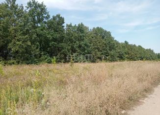 Земельный участок на продажу, 10 сот., село Девица, Дворянская улица, 16