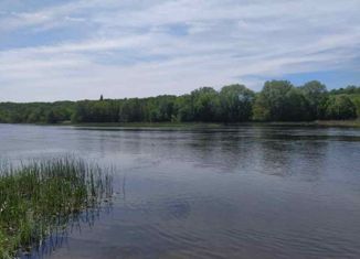 Дом на продажу, 44 м2, рабочий посёлок Рамонь, Пристанционная улица, 44