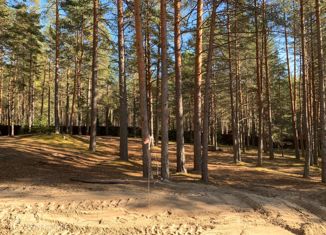 Участок на продажу, 15 сот., Ромашкинское сельское поселение