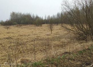 Продается земельный участок, 10 сот., деревня Большакино, Центральная улица