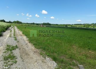 Продам участок, 24 сот., деревня Новая Знаменка, Р-132, 694-й километр