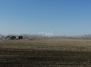 Продажа участка, 10 сот., село Шахи