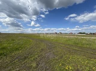 Продаю участок, 12 сот., посёлок Чекаевский