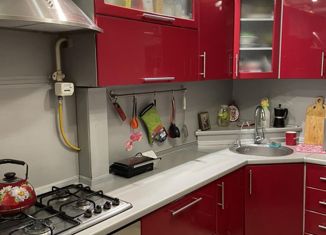 Продам 4-ком. квартиру, 80 м2, Нижний Новгород, улица Строкина, 19, метро Парк Культуры