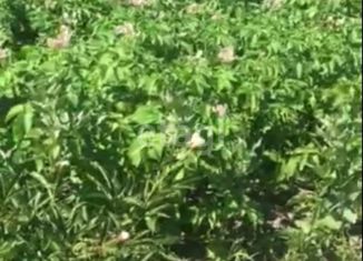 Продам дом, 20 м2, садовое товарищество Незабудка, 7-я Садовая улица