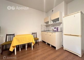 Аренда квартиры студии, 27 м2, Санкт-Петербург, бульвар Александра Грина, 1, ЖК Круиз Апарт