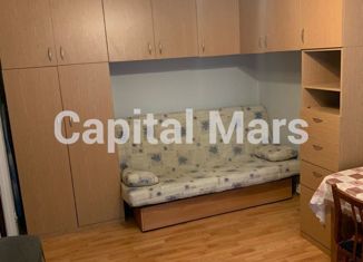 Сдам в аренду однокомнатную квартиру, 24 м2, Москва, улица Расплетина, 3к2, улица Расплетина