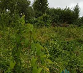 Продается участок, 7.5 сот., деревня Подмошье, деревня Подмошье, 65