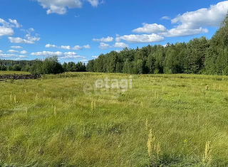 Продажа земельного участка, 10 сот., поселок Луговой, Центральная улица, 73