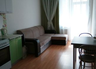 1-комнатная квартира на продажу, 41.9 м2, Екатеринбург, улица Степана Разина, 107Ак1, улица Степана Разина
