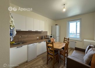 Сдается 1-ком. квартира, 37 м2, Екатеринбург, улица Павла Шаманова, 5/3