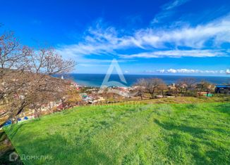 Продам земельный участок, 10 сот., село Малореченское