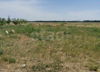 Продажа участка, 5 сот., хутор Новоалександровка, Луговой переулок