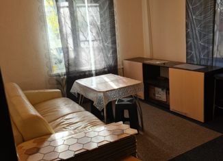 Продажа двухкомнатной квартиры, 43.3 м2, Красное Село, улица Юных Пионеров, 13