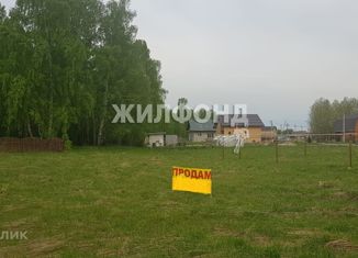 Продам земельный участок, 6 сот., село Новокаменка, Солнечная улица