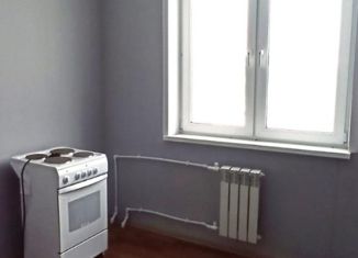 Продается 1-комнатная квартира, 30.3 м2, село Клязьминский Городок, улица Клязьминская ПМК, 40