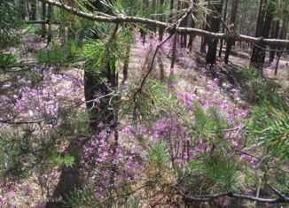 Продажа участка, 600 сот., село Горячинск