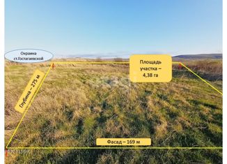 Продается земельный участок, 438 сот., станица Гостагаевская
