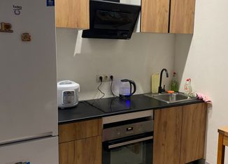 Сдам квартиру студию, 28 м2, Кемерово, проспект В.В. Михайлова, 3Ак1, жилой район Лесная Поляна