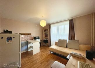 Продается квартира студия, 25.5 м2, посёлок Западный, Просторная улица, 8