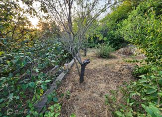 Продажа участка, 5.7 сот., садоводческое товарищество собственников недвижимости Гидростроитель, садоводческое товарищество собственников недвижимости Гидростроитель, 148