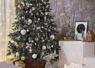 Продаю дом, 42 м2, посёлок городского типа Васильевский Мох, Первомайская улица, 75/17