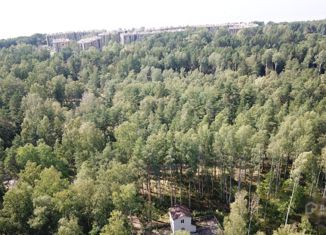 Продам участок, 285 сот., Сестрорецк