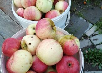 Дом на продажу, 25 м2, посёлок Сосновка, Центральная улица