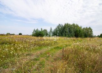 Продам участок, 17 сот., деревня Ошкукова, Новая улица, 13