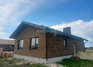 Продажа дома, 110 м2, село Новоживотинное