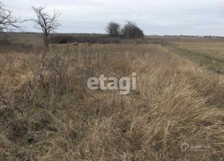 Продам участок, 12 сот., село Мирное