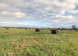 Продам участок, 1800 сот., поселок Каштаново, Калининградская улица