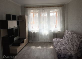 1-комнатная квартира на продажу, 31.5 м2, Нижний Новгород, улица Лескова, 24, метро Парк Культуры