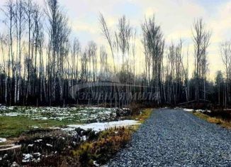 Продается земельный участок, 11 сот., деревня Молчанова