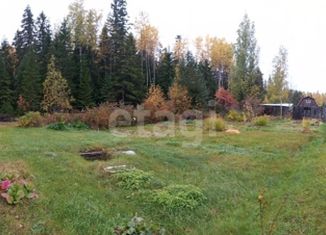 Продаю дом, 44 м2, территория СНТ Рубин