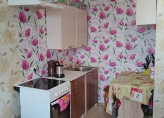 1-ком. квартира на продажу, 23.4 м2, село Дмитриевка, Яблоневая улица, 32