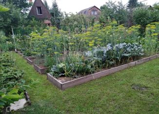 Продаю дом, 56 м2, дачный посёлок Кудряшовский, Береговая улица