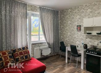 Сдается 1-ком. квартира, 21.6 м2, Санкт-Петербург, Среднерогатская улица, 16к2