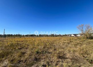 Продается участок, 400 сот., деревня Васильевка, Центральная улица, 65А