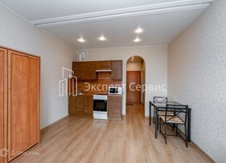 Продаю квартиру студию, 24.4 м2, городской посёлок Новоселье, Красносельское шоссе, 1к1