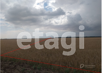 Продажа участка, 240 сот., село Шелковичное