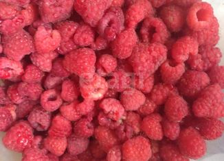 Продаю дом, 60 м2, СНТ Берёзка, 3-я улица